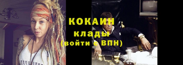 тгк Богданович