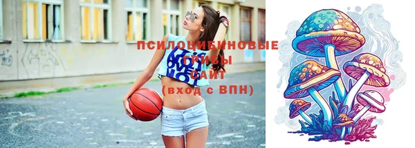 тгк Богданович