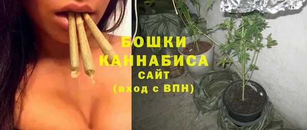 ПСИЛОЦИБИНОВЫЕ ГРИБЫ Бронницы